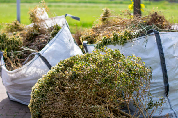 Best Furniture Removal Near Me  in Sabina, OH